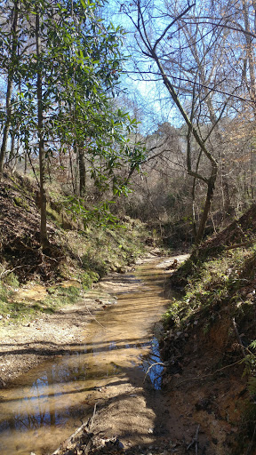 Nature Preserve «MaryAnn Brown Nature Preserve», reviews and photos, 13515 LA-965, St Francisville, LA 70775, USA