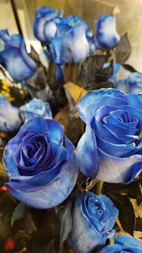 Florist «Ashby Flowers», reviews and photos, 3000 Telegraph Ave, Berkeley, CA 94705, USA