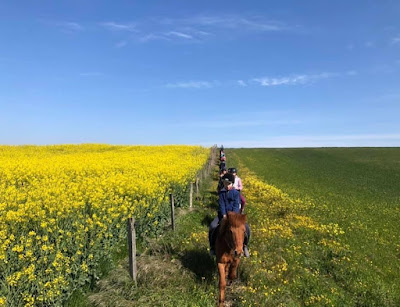 Domaine Equestre Des Pialoux à Montvendre