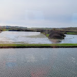 Photo n° 8 de l'avis de Fabienne.r fait le 29/11/2022 à 15:59 pour Seudre Océan Express - Train restaurant à Saujon