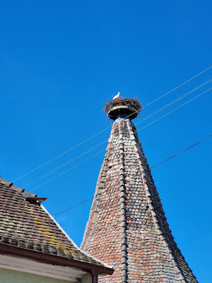 Coiffure Révélation à Ribeauvillé