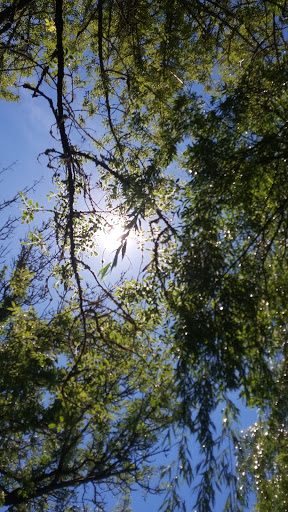 Park «Pioneer Park», reviews and photos, 14545 NW Pioneer Rd, Beaverton, OR 97006, USA