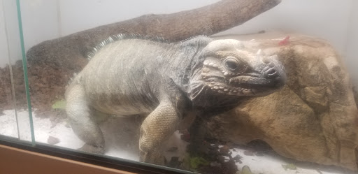 Tropical Fish Store «Harris In Wonderland», reviews and photos, 12 W Main St, Avon, CT 06001, USA