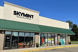 Skymint Coldwater image