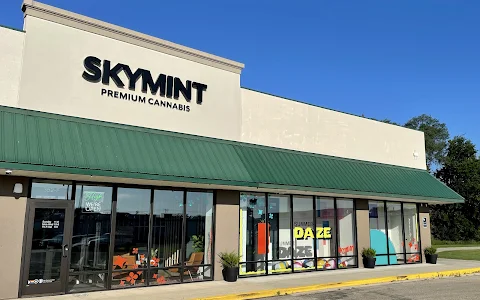 Skymint Coldwater image