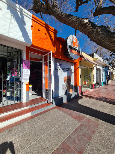 Tiendas para comprar perros en Mendoza