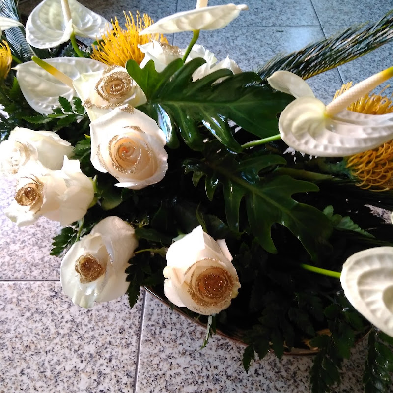 4 image