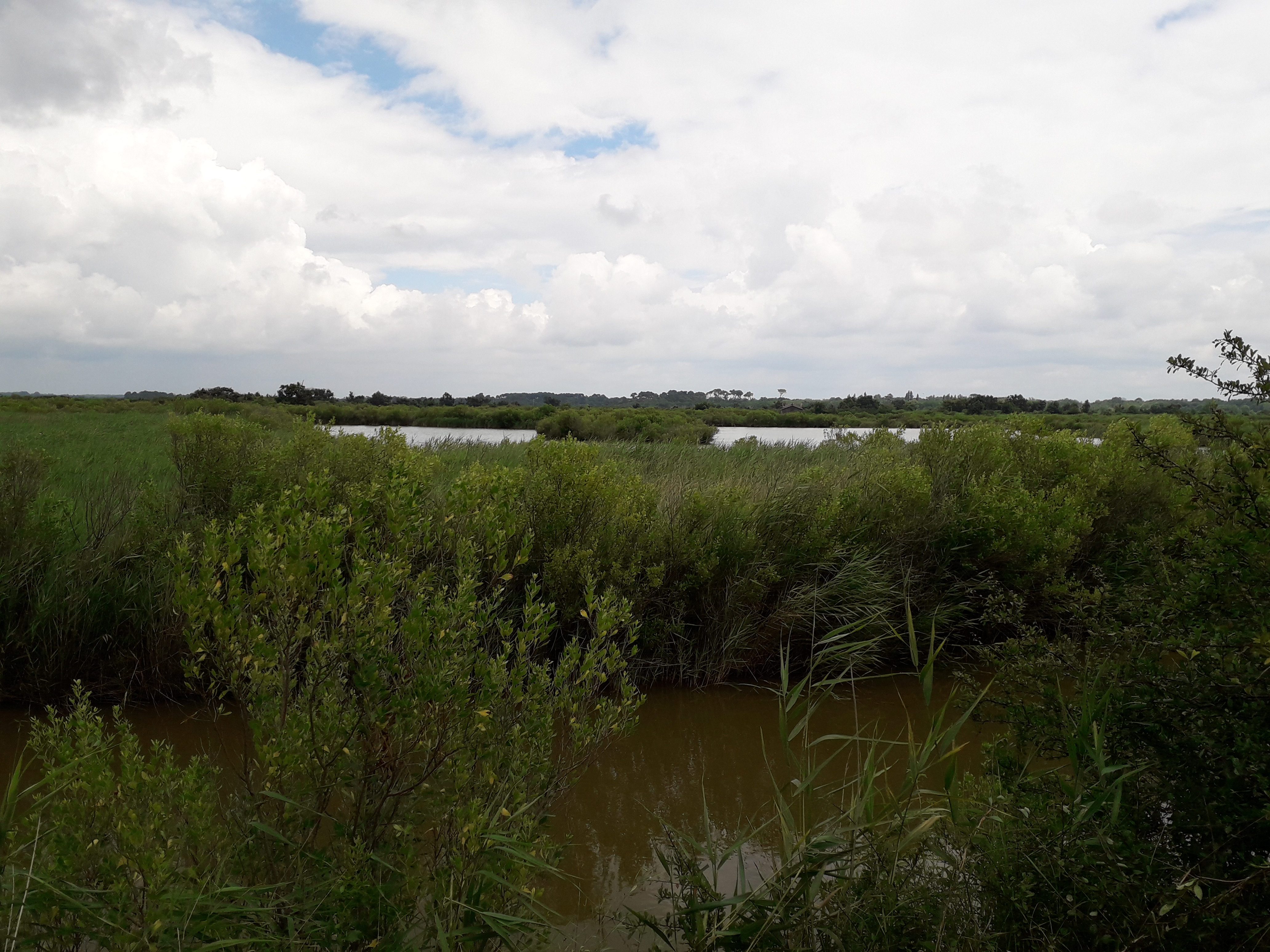 Photo n° 6 de l'avis de Guillaume.e fait le 13/07/2018 à 08:09