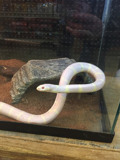 Pet Supply Store «Living Things», reviews and photos, 3437 PA-309, Orefield, PA 18069, USA