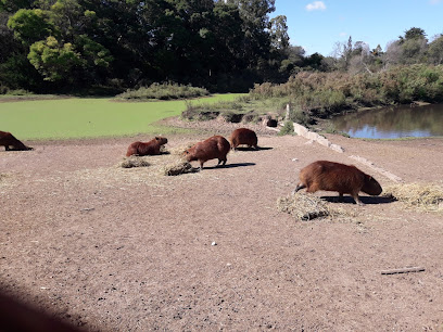 Observatorio de Animales Autóctonos