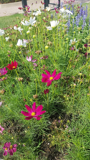 Tourist Attraction «Leaning Tower of Niles», reviews and photos, 6300 Touhy Ave, Niles, IL 60714, USA