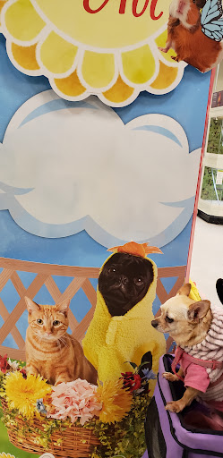 Pet Supply Store «PetSmart», reviews and photos, 13000 Aurora Ave N, Seattle, WA 98133, USA