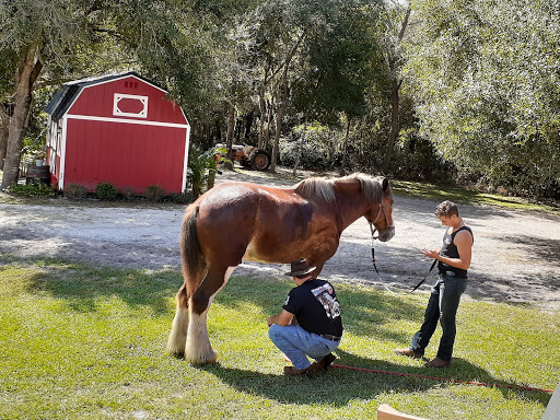 Event Venue «Horsepower Ranch & Events», reviews and photos, 280 Campbell Ranch Run, Geneva, FL 32732, USA