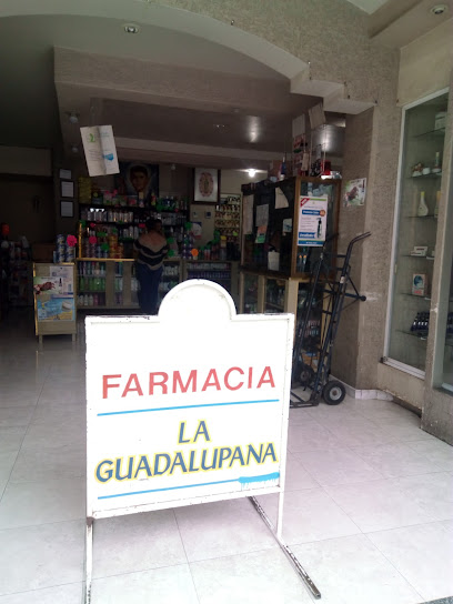 Farmacia Guadalupana, , Sahuayo De Morelos