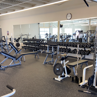 MKE Muscle - 3313 N 124th St, Brookfield, WI 53005