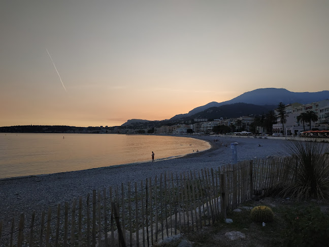 Restaurant le Dauphin - Restaurant