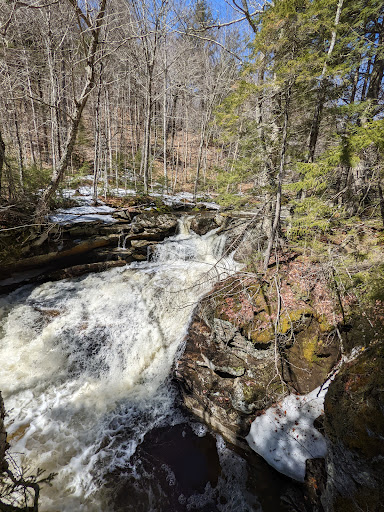 Wright Trail