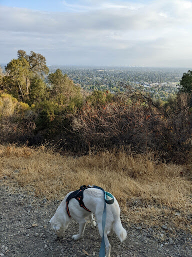 Heintz Open Space image