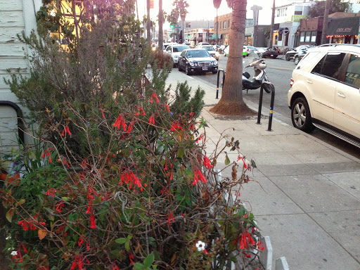 Tobacco Shop «Green House Smoke Shop», reviews and photos, 1428 Abbot Kinney Blvd, Venice, CA 90291, USA