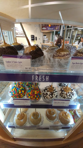 Shopping Mall «The Fountains at Farah», reviews and photos, 8889 Gateway Blvd W, El Paso, TX 79925, USA