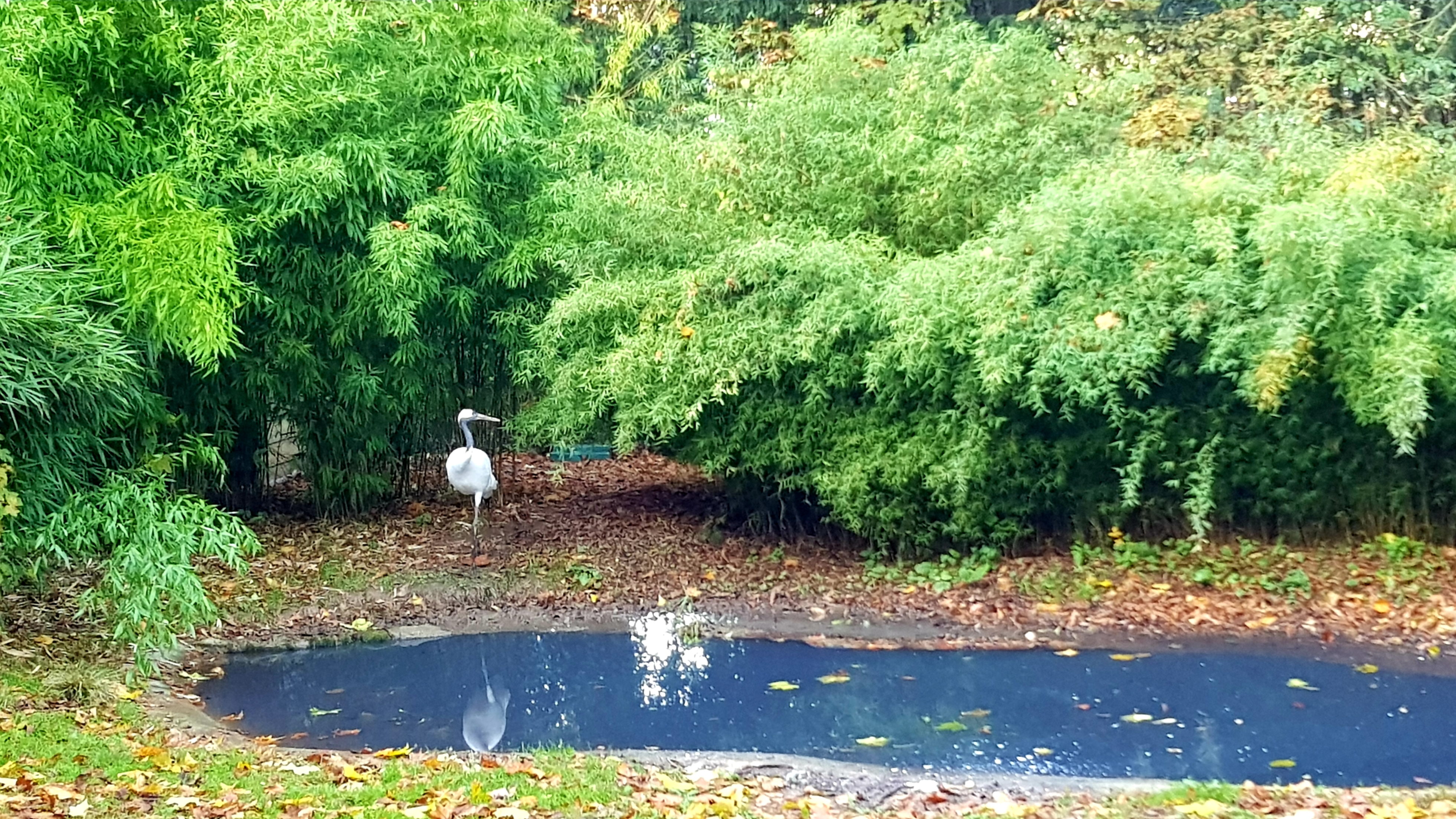 Photo n° 8 de l'avis de Morglaz.c fait le 10/11/2021 à 10:42