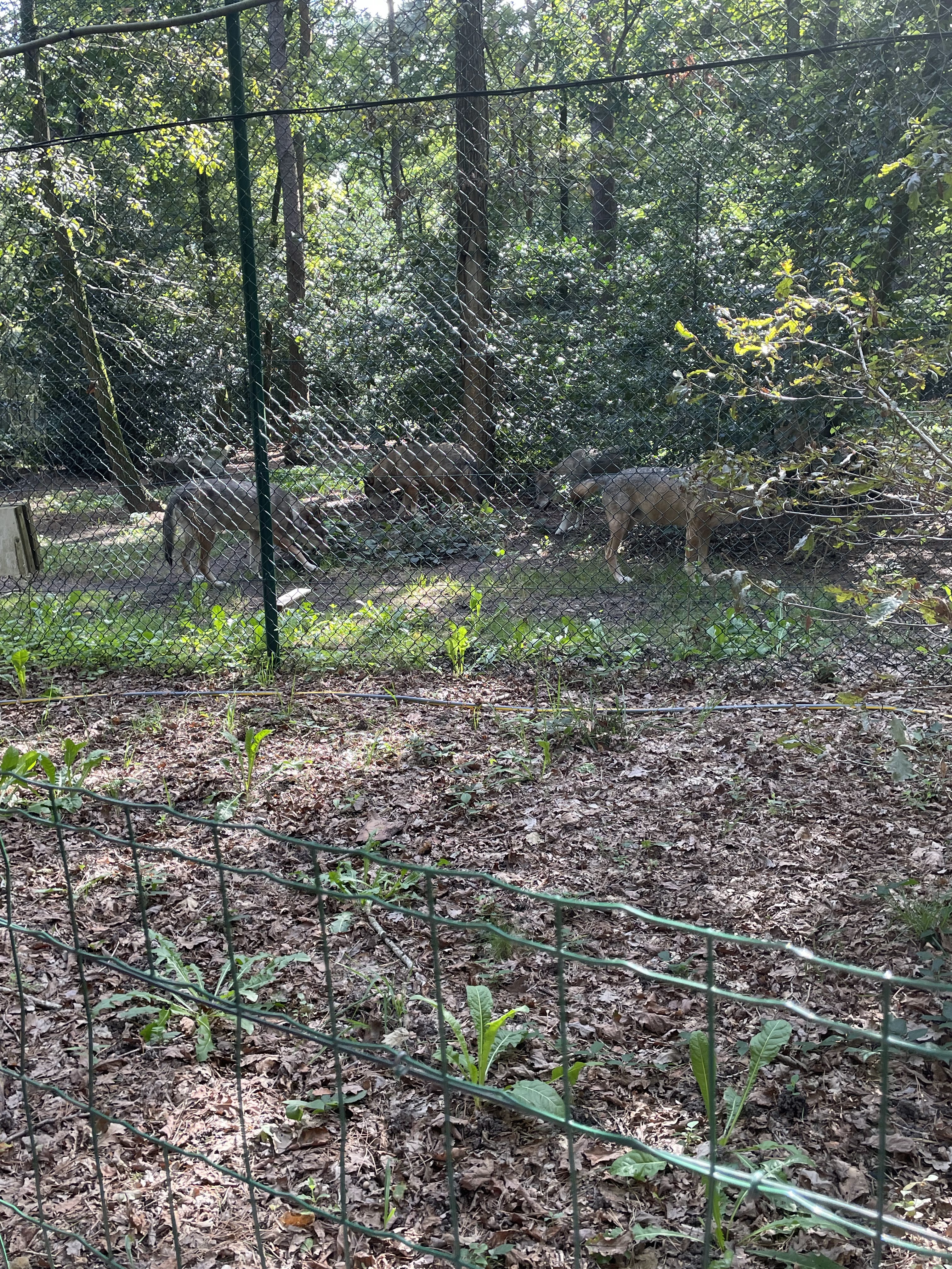 Photo n° 32 de l'avis de catherine.h fait le 22/08/2023 à 10:19