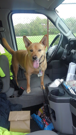 Park «ROGERS PARK», reviews and photos, 30 Rogers Park Ave, Boston, MA 02135, USA