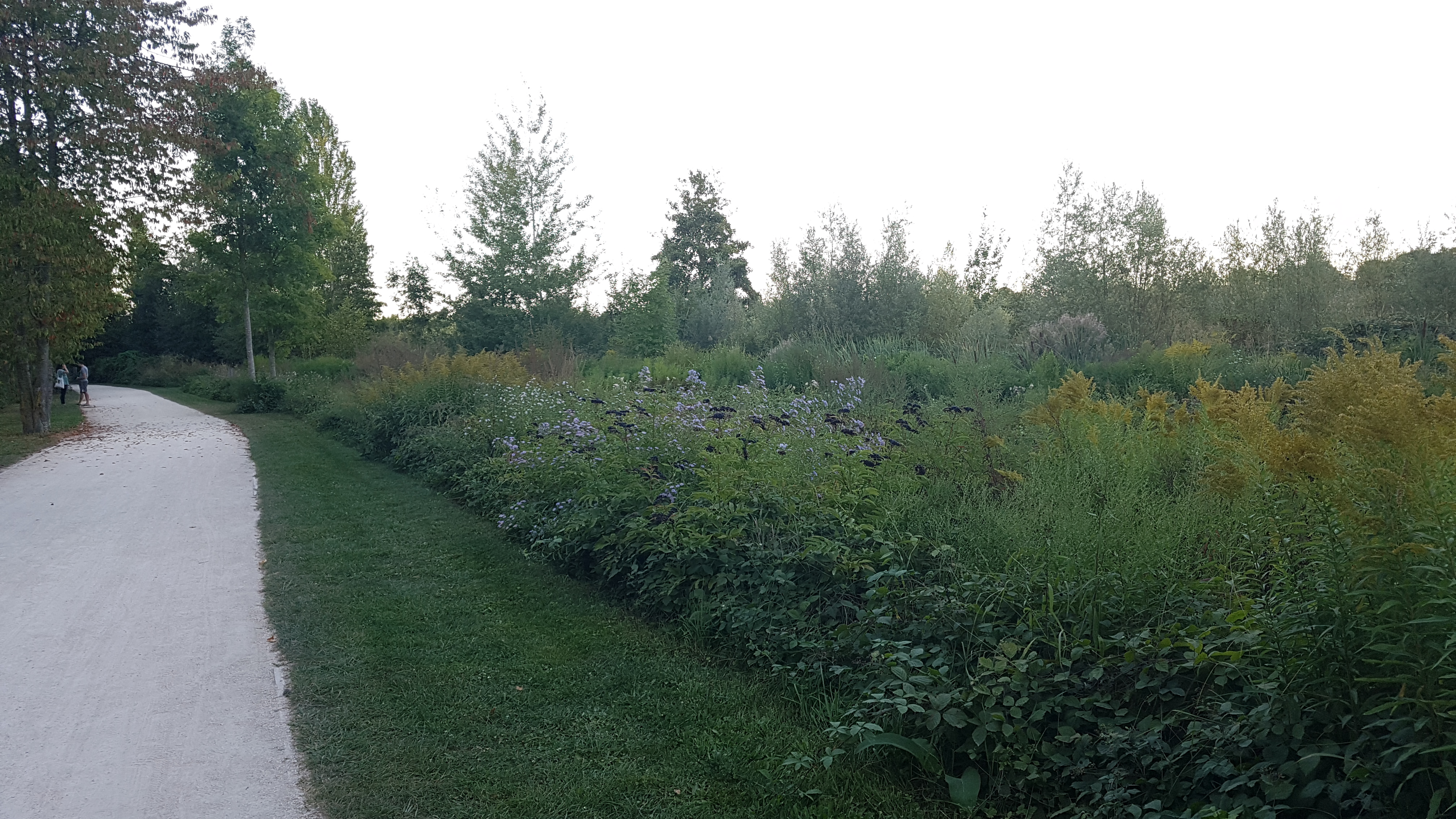 Photo n° 3 de l'avis de Sanjy.u fait le 20/09/2019 à 13:45