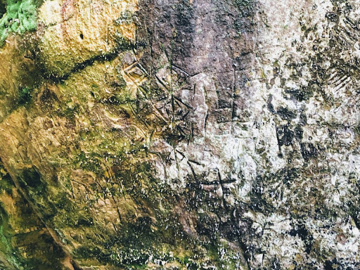 Golf Shop «Indian Hills Golf Course», reviews and photos, 331 Snead Dr, Fairfield Bay, AR 72088, USA