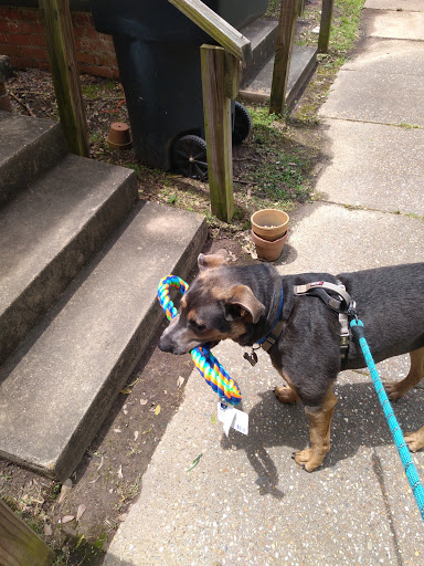 Pet Supply Store «PetSmart», reviews and photos, 7061 Youree Dr, Shreveport, LA 71105, USA