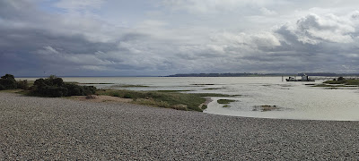 Esprit sauvage, Romane guide en baie de Somme à Pendé