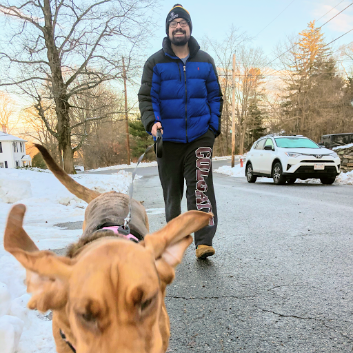 Dog Sitting, Boarding & Walking: Michael with Rover