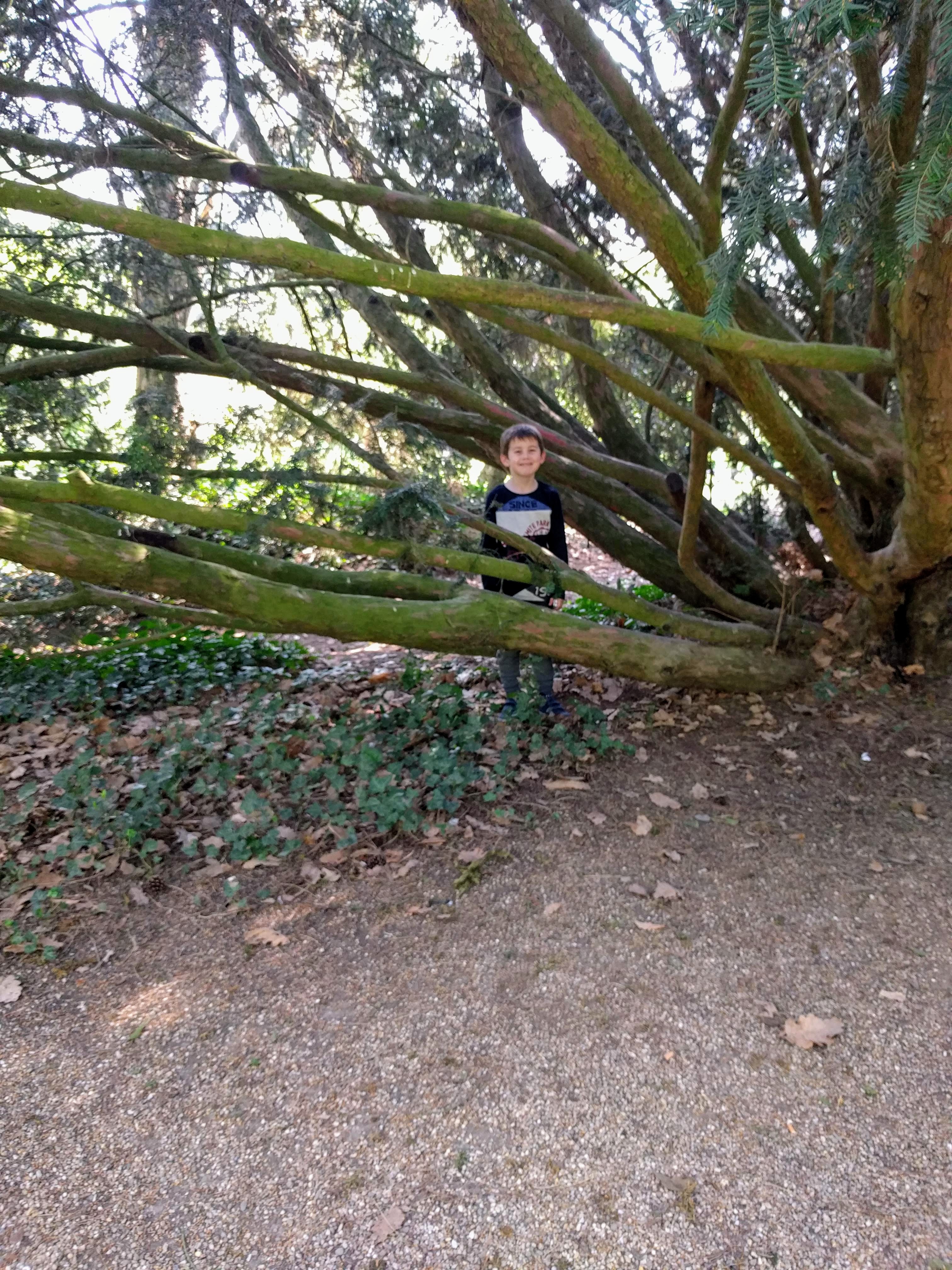 Photo n° 3 de l'avis de Poucy.a fait le 25/04/2019 à 14:42