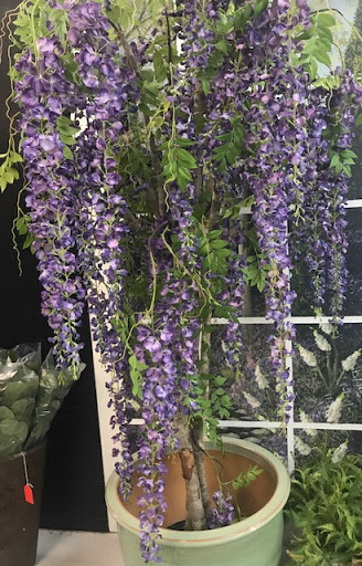 Florist «Flower City Florist», reviews and photos, 917 N Federal Hwy, Fort Lauderdale, FL 33304, USA