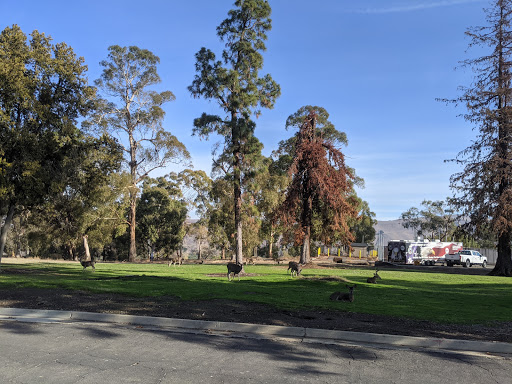 4951 Arroyo Rd, Livermore, CA 94550, USA