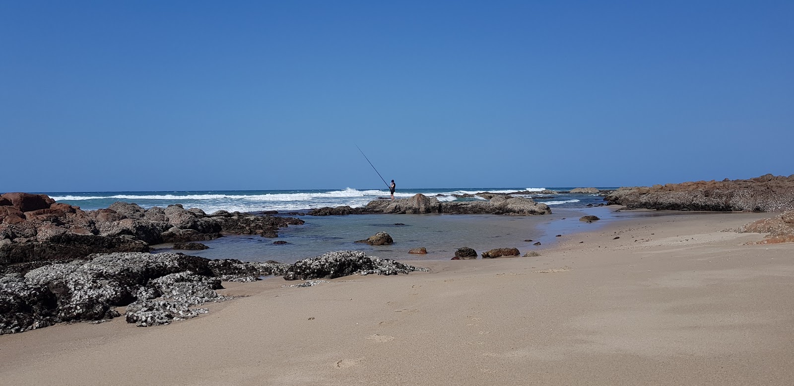 Fotografija Palm beach z svetel pesek in kamni površino
