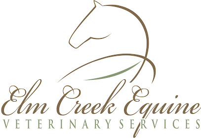 Elm Creek Equine Veterinary Services