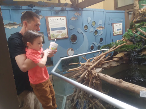 Discount Store «Dollar General», reviews and photos, 1401 Euclid Ave, Bristol, VA 24201, USA