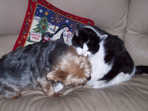 45505 Garfield Rd, Macomb, MI 48044, USA