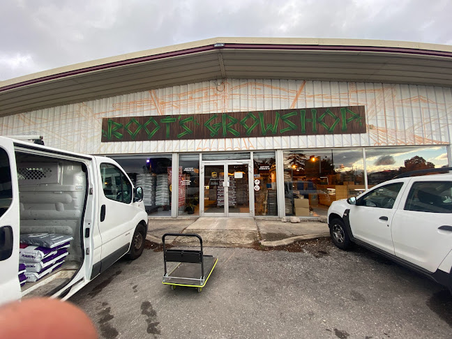 Root's Seeds Industry - Bar - Grow Shop - Seeds -CBD