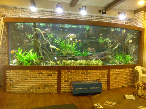 Tropical Fish Store «Fish Gallery», reviews and photos, 2909 Fountain View Dr, Houston, TX 77057, USA