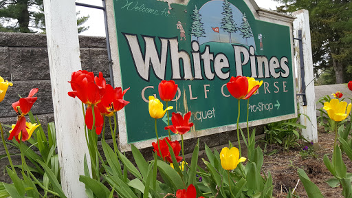 Golf Course «White Pines Golf Course», reviews and photos, 549 Copeland St, Brockton, MA 02301, USA