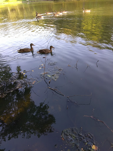 Park «Roger Williams Park Carousel Village», reviews and photos, 1000 Elmwood Ave, Providence, RI 02907, USA