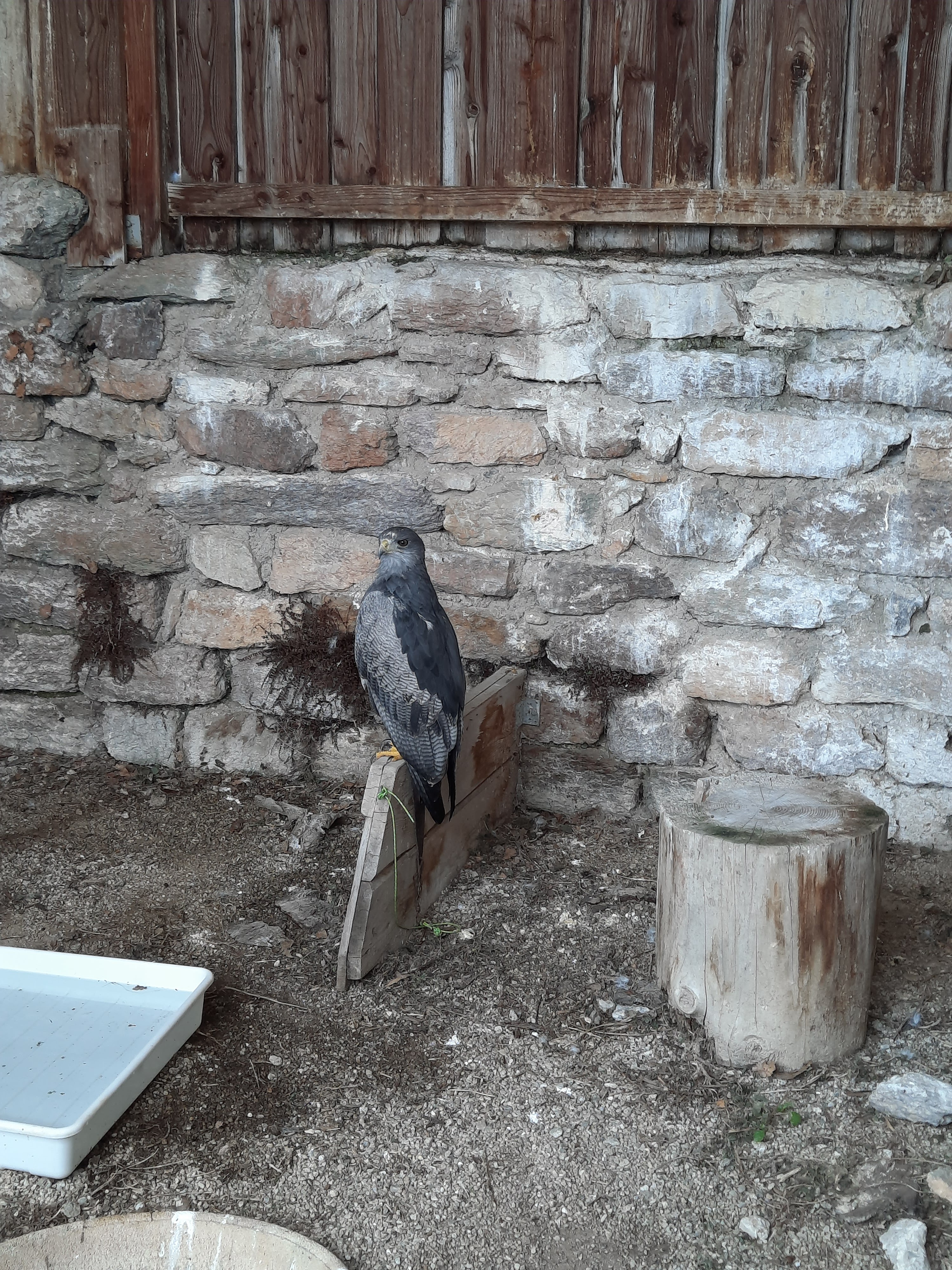 Photo n° 8 de l'avis de Dominique.o fait le 19/07/2022 à 17:28