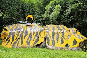 Dampa Tiger Reserve & Sanctuary image