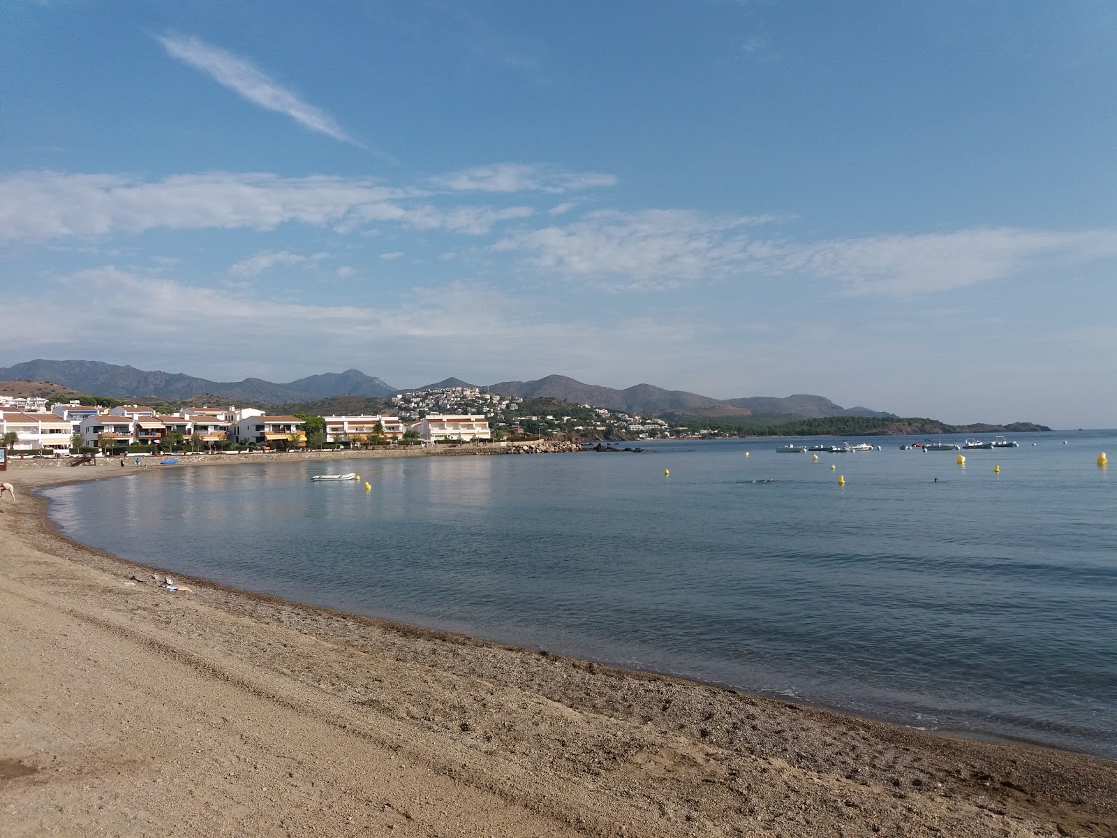 Foto van Platja del Port wilde omgeving