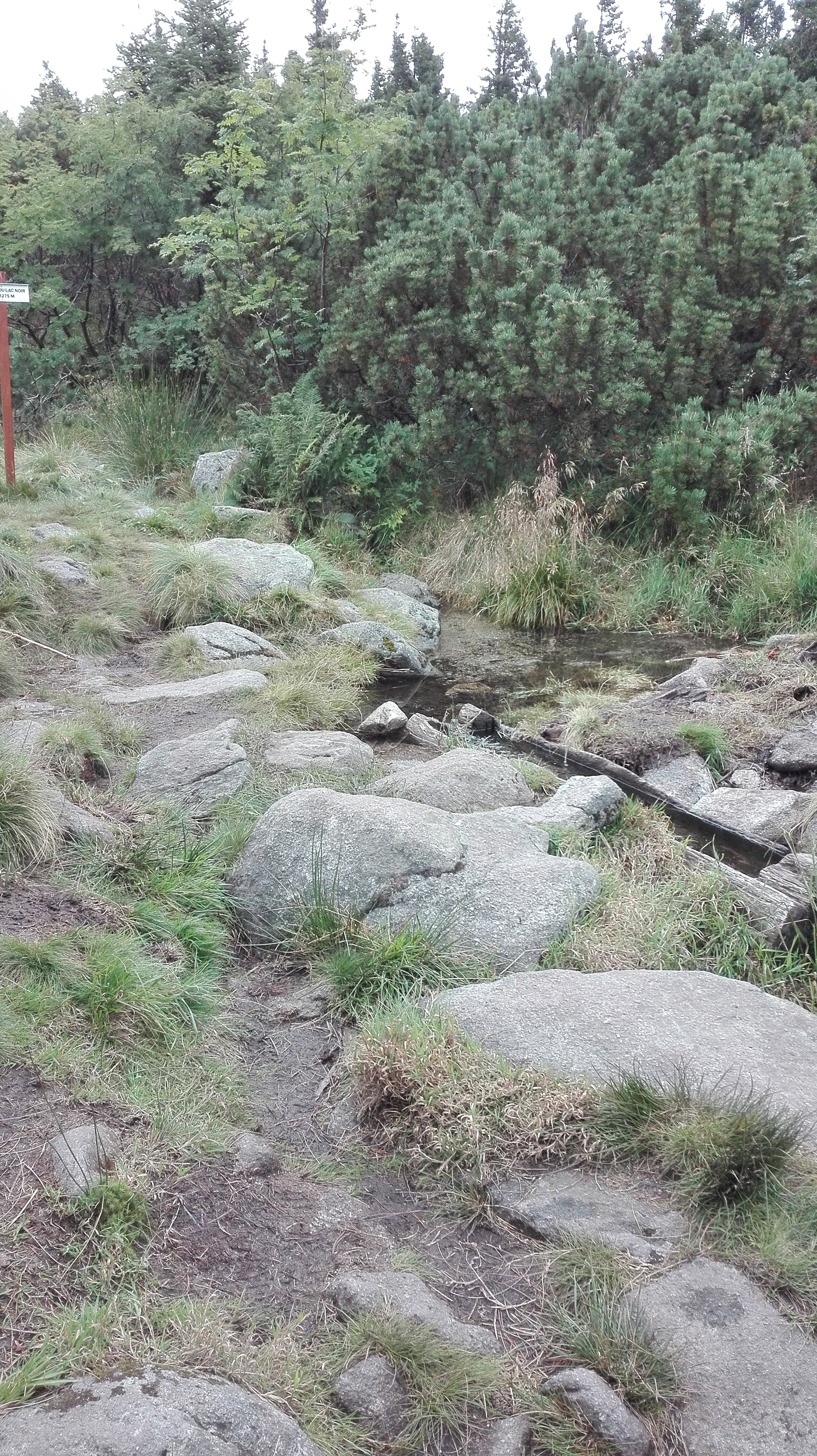 Photo n° 1 de l'avis de Emmanuel.i fait le 27/08/2017 à 19:10
