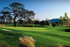 Rooster Run Golf Club image