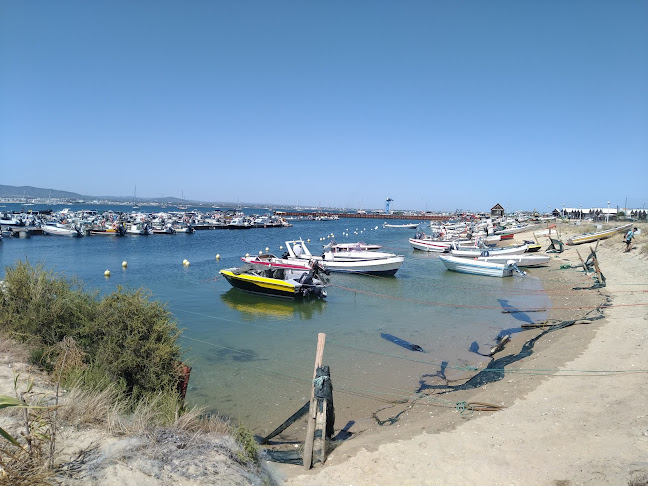 ODYSSEY Boat Tours - Passeios de barco na Ria Formosa - Agência de viagens