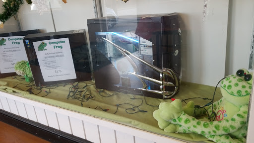 Computer Repair Service «Computer Frog Service Center of Flint», reviews and photos, 7005 N Saginaw Rd, Mt Morris, MI 48458, USA